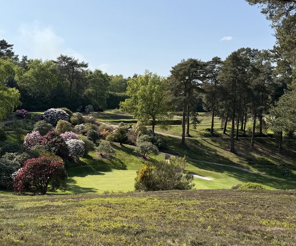 Photo of Hindhead Golf Club