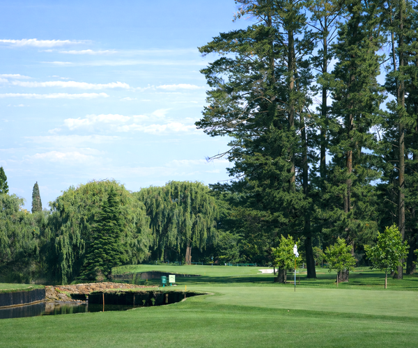 Photo of Glendower Golf Club