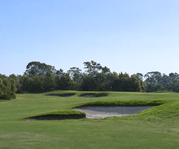 Photo of Sandhurst Club