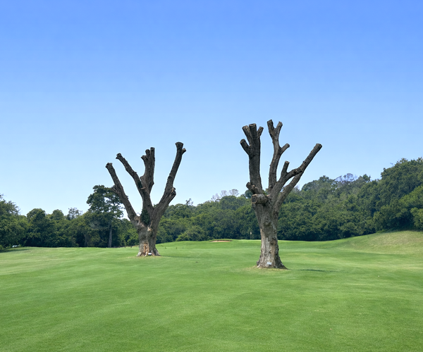 Photo of Plettenberg Bay Country Club