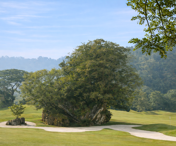 Photo of Templer Park Country Club