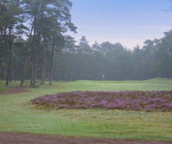 Photo of Rosendaelsche Golfclub