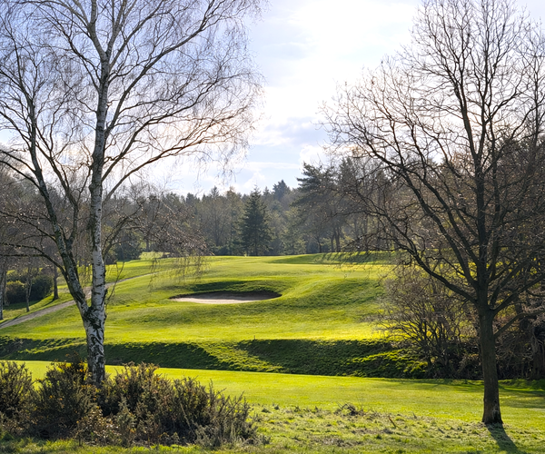 Photo of Moor Allerton Golf Club