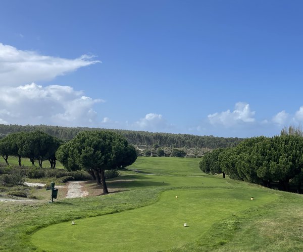 Photo of Golfe do Bom Sucesso